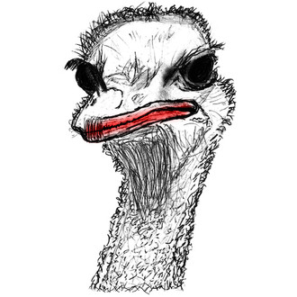 Screaming Ostrich International Film Festival logo