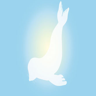 Lonely Seal International Film, Screenplay and Music Festival logo