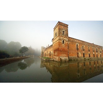 CortoConfine IFF logo