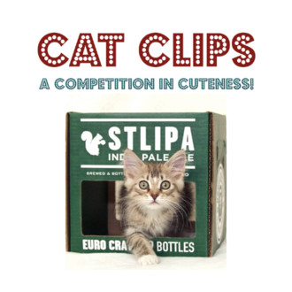 Cat Clips: A Competition in Cuteness! logo