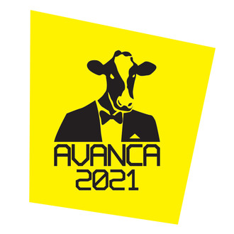 25th AVANCA - International Meeting of Cinema, TV, Video and Multimedia logo