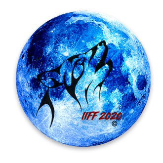 Idlewild International Film Festival logo