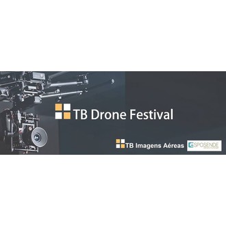 TBDroneFestival logo