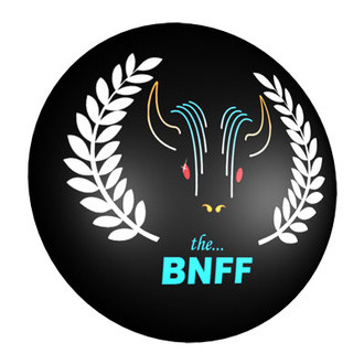 Buffalo Niagara International Film Festival logo