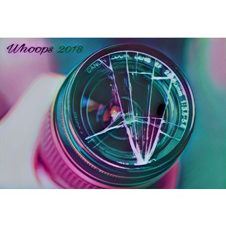 Whoops Film Festival logo