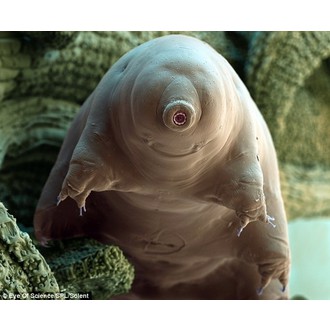 Universe In A Glass logo