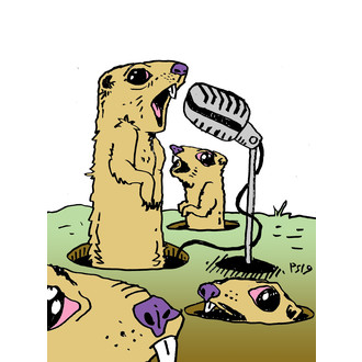 Silver Sound Showdown Music + Video Festival logo