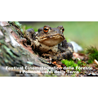 Festival cinematografico sulle foreste-I polmoni verdi della terra logo