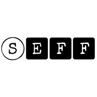 SEFF Binghamton 2019 logo