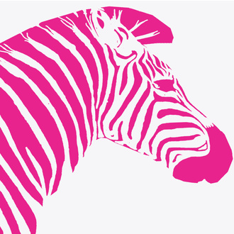 QUEER-Streifen Regensburg logo