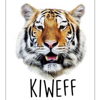 Kolkata International Wildlife & Environment Film Festival - India logo