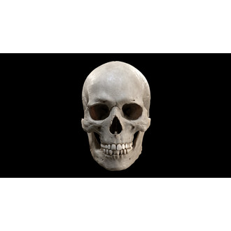 Secrets of the Dead: New York City Short Films logo