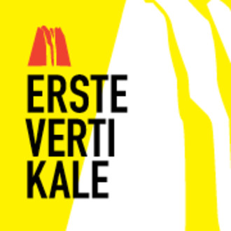 Die Erste Vertikale logo
