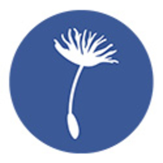 New Economy Film Festival logo