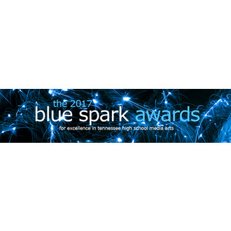 The 2017 Blue Spark Awards logo