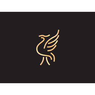 Liverpool International Documentary Film Festival logo