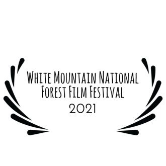White Mountain National Forest Film Festival logo
