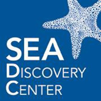 Festival cover image