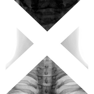 Xsection Dance and Science Film Festival logo