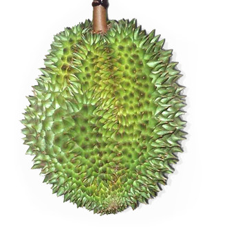 Saigon Experimental Film Festival logo