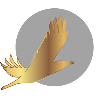 Arctic International Film Festival «Golden raven» logo