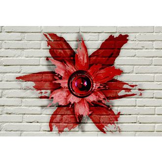 Wallflower Film Festival logo