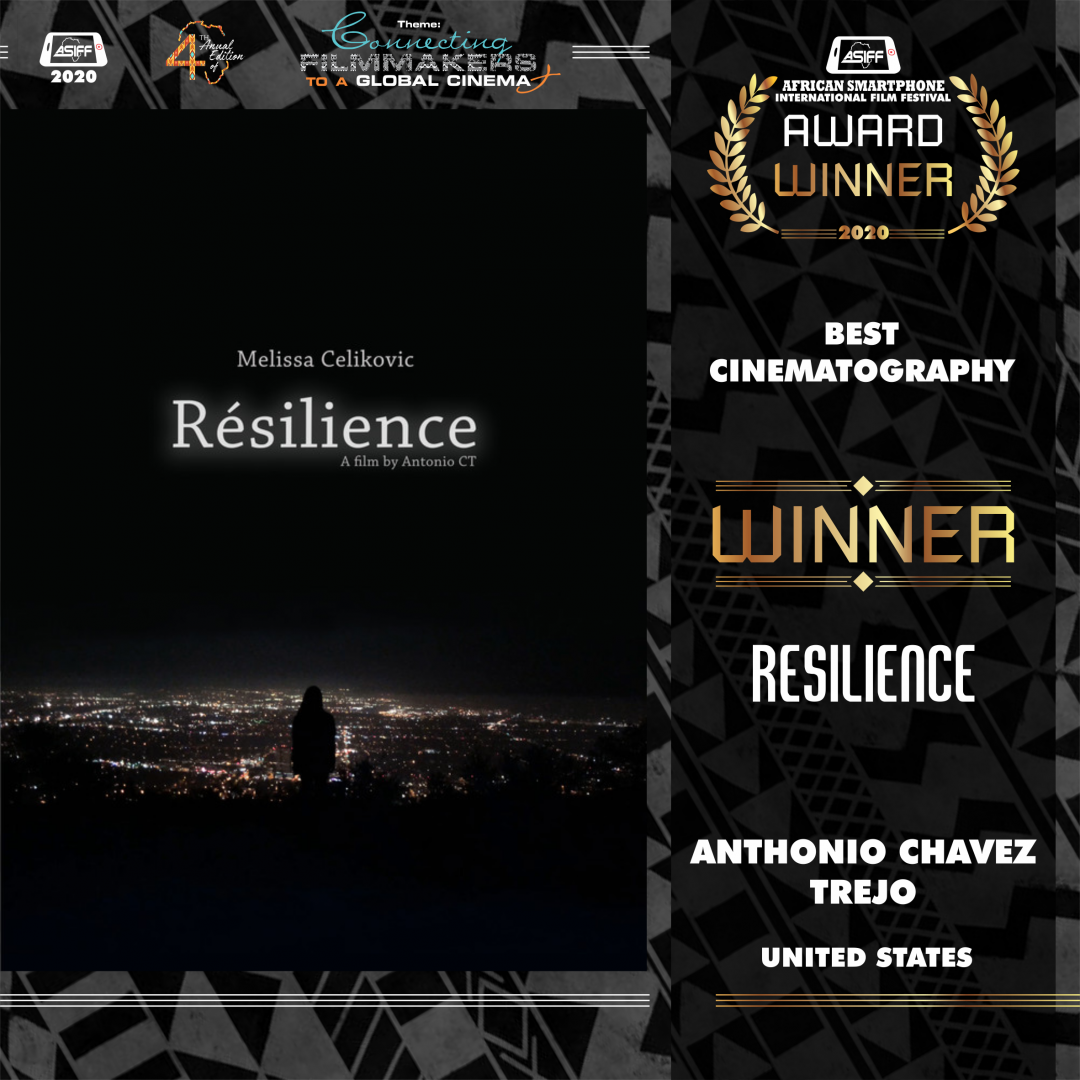 Festival gallery image 6