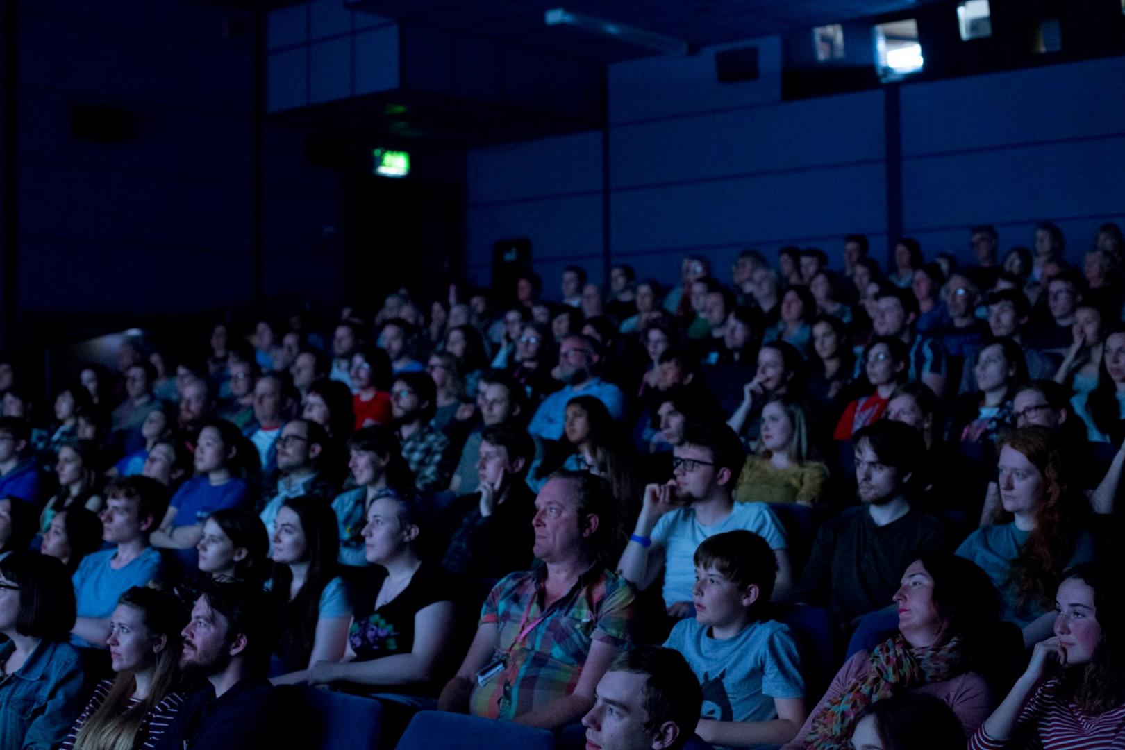 Festival gallery image 2