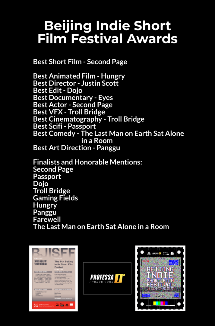 Festival gallery image 1