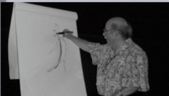 Festival poster image