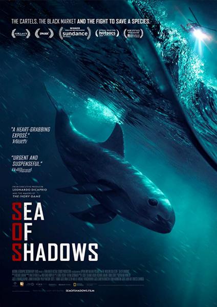 Sea of Shadows logo