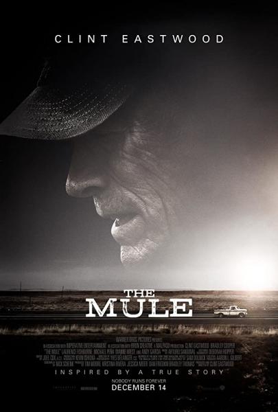 The Mule logo