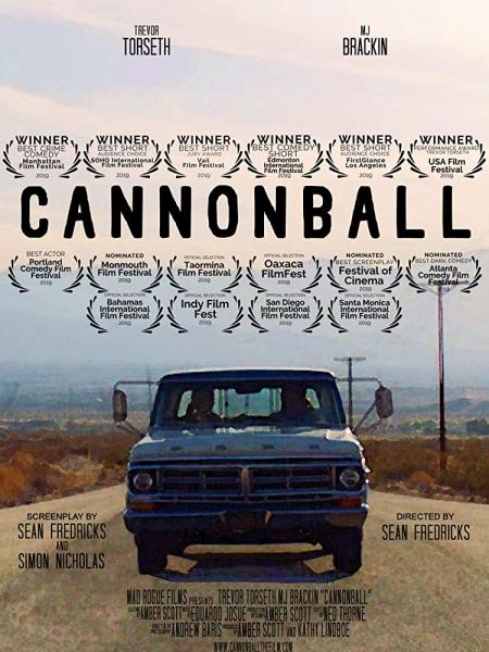 Movie poster image
