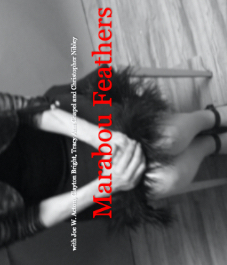 Marabou Feathers logo