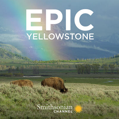 Epic Yellowstone logo