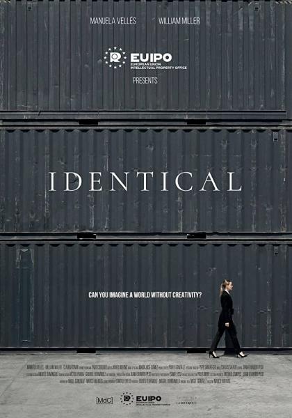 IPdentical logo