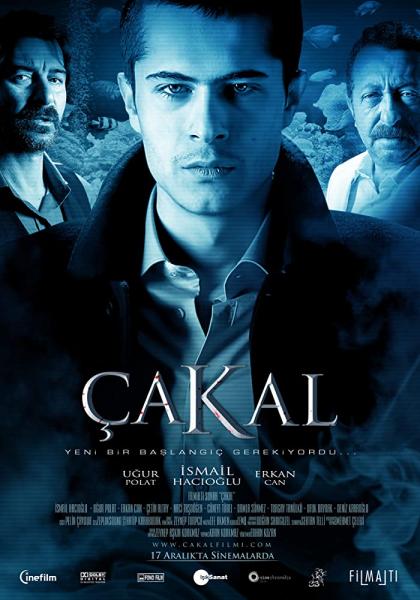 Movie poster image