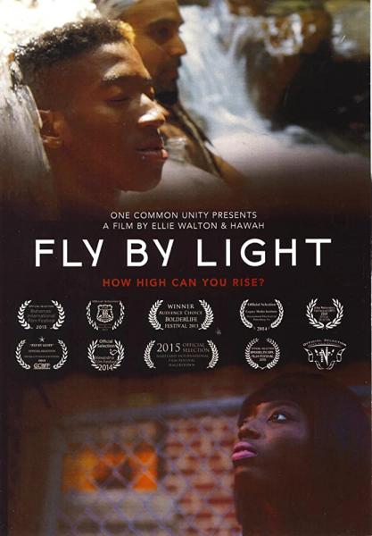 Fly by Light logo