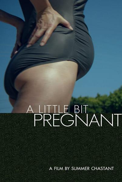 A Little Bit Pregnant logo