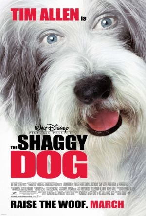 The Shaggy Dog logo